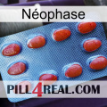 Néophase 06
